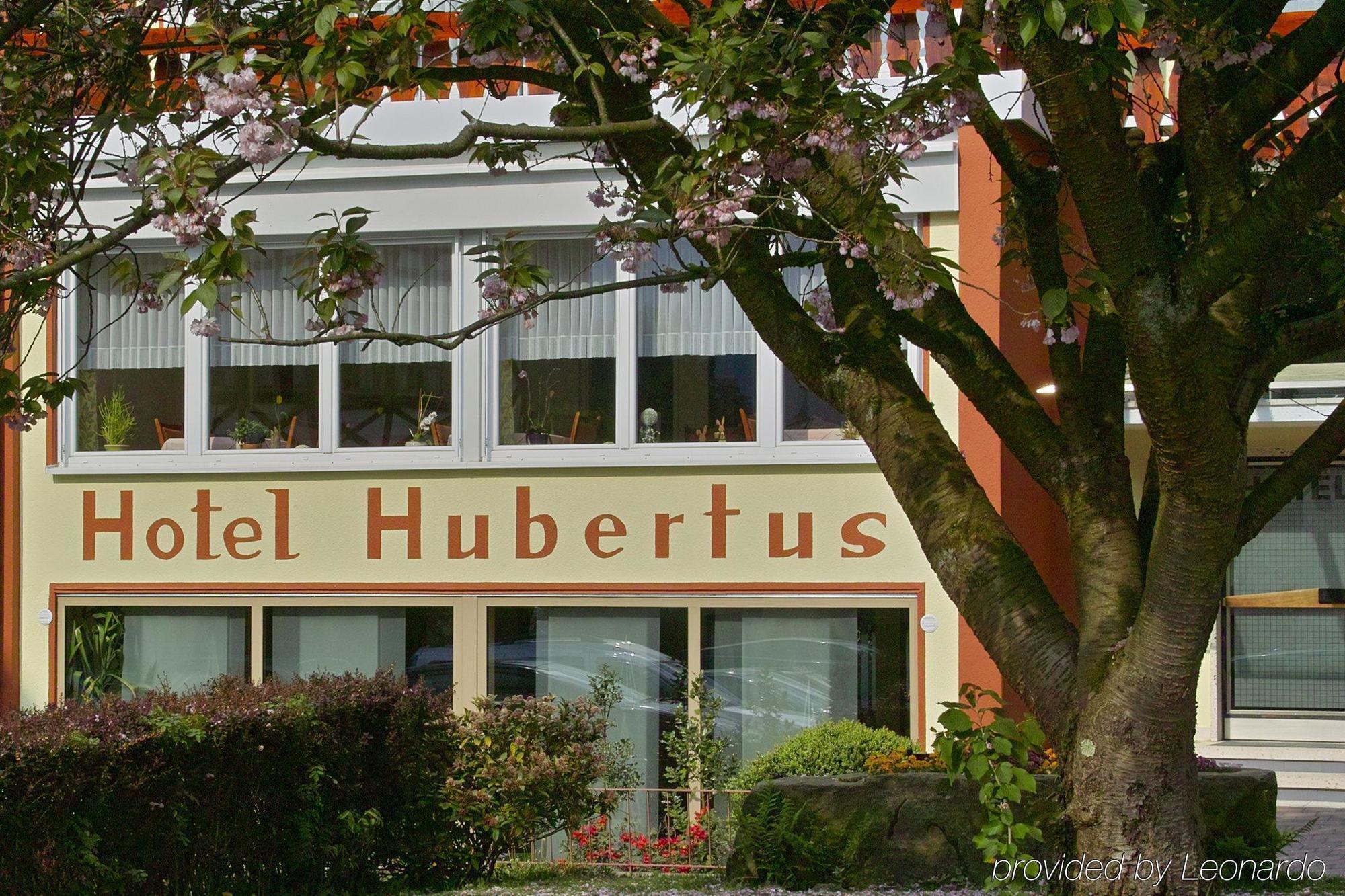 Hotel Akzent Hubertus Bad Peterstal-Griesbach Exteriér fotografie